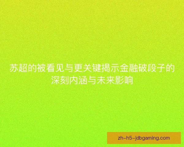 苏超的被看见与更关键揭示金融破段子的深刻内涵与未来影响